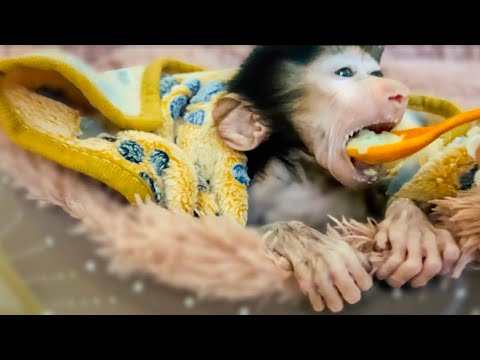 Видео: И спим , и кормим Степашку ПО ОЧЕРЕДИ, то я, то Влад!