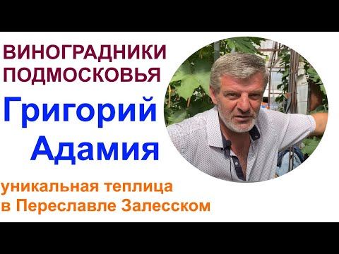 Видео: Виноград и не только в северной теплице или в гостях в ЛПХ Григория и Галины Адамия.