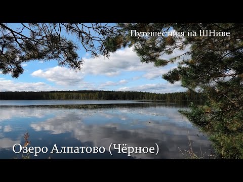 Видео: Озеро Алпатово (Черное). Интересные места Подмосковья #1