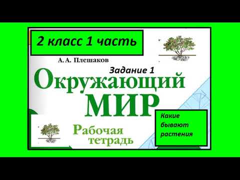 Видео: Какие бывают растения 1 задание. Окружающий мир 2 класс рабочая тетрадь. Схема растений