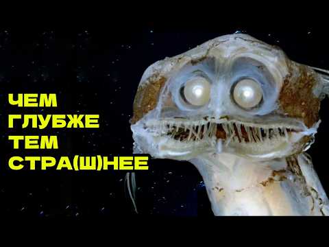 Видео: ЧЕМ ГЛУБЖЕ В ОКЕАН, ТЕМ СТРАННЕЕ ОБИТАТЕЛИ
