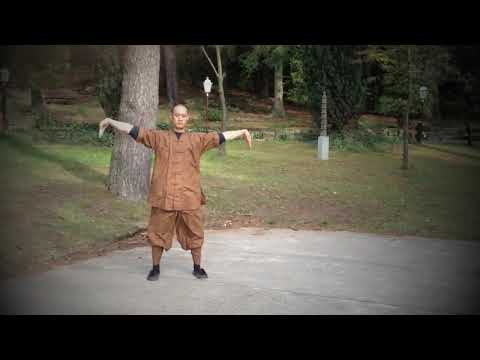 Видео: Демонстрация формы Шаолинь И Цзинь Цзин в исполнении Мастера Shi Heng Yi