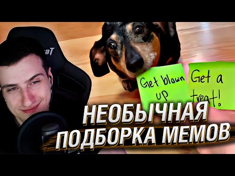Видео: НЕОБЫЧНАЯ ПОДБОРКА МЕМОВ V260 | Реакция HellYeahPlay