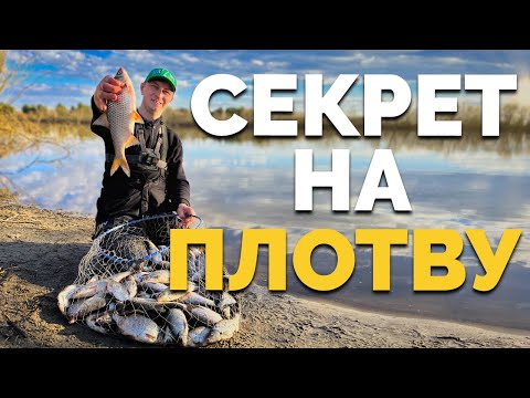 Видео: ⚠️ СЕКРЕТ на ПЛОТВУ⚠️  Десна❗️Нереальный клев❗️Все отдыхают, а мы ловим 🤯