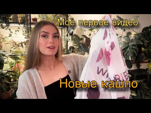 Видео: НОВЫЕ КАШПО / Моё первое видео 