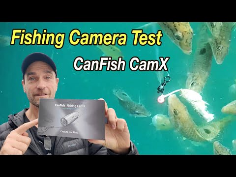 Видео: Тест и обзор уникальной подводной камеры для рыбалки — CanFish FishingCamX!
