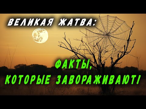 Видео: ВЕЛИКАЯ ЖАТВА: ФАКТЫ, КОТОРЫЕ ЗАВОРАЖИВАЮТ