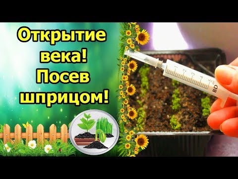Видео: ИЗОБРЕТЕНИЕ ВЕКА! ШПРИЦ ДЛЯ ПОСЕВА МЕЛКИХ СЕМЯН ЛОБЕЛИИ, ПЕТУНИИ, ЗЕМЛЯНИКИ! ПОСЕВ ЛОБЕЛИИ ШПРИЦОМ!