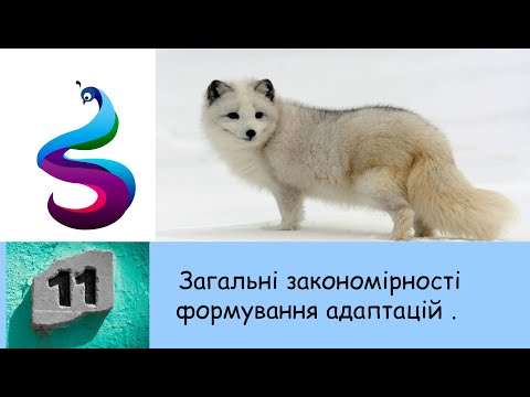 Видео: Загальні закономірності формування адаптації