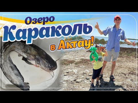 Видео: Vlog | Озеро Караколь | Приготовили сома