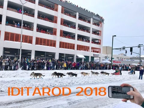 Видео: 097 АЛЯСКА/СОБАЧЬИ УПРЯЖКИ/ СОРЕВНОВАНИЯ/ IDITAROD 2018