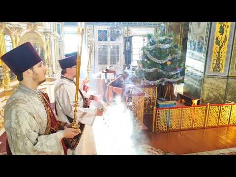 Видео: Встреча архиерея в храме и облачение