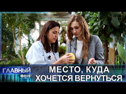 Видео: Чашники — место для жизни. Откуда в северном регионе тропики? Главный эфир