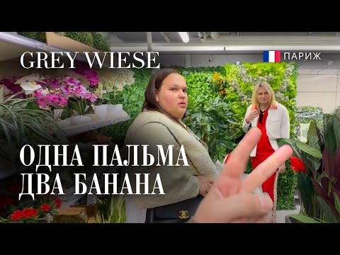 Видео: Приехали за пальмами