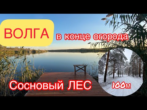 Видео: ДОМ НА ЮГЕ / ПЕРВАЯ БЕРЕГОВАЯ ЛИНИИ / 100м ОТ ЛЕСА | ЦЕНА 1.900млн₽ | ОБЗОР ДОМА НА БЕРЕГУ ВОЛГИ