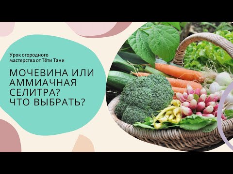 Видео: 899. Так всё-таки МОЧЕВИНА или АММИАЧНАЯ СЕЛИТРА...