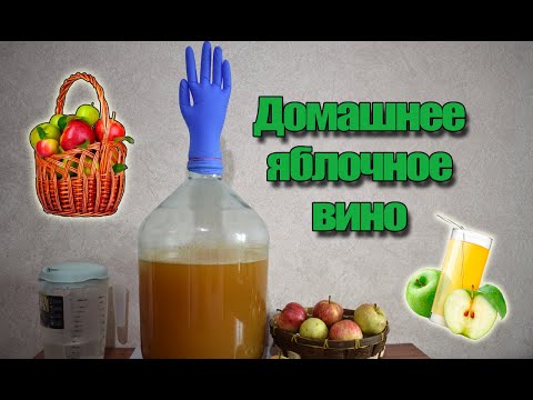 Видео: Пошаговый рецепт домашнего ЯБЛОЧНОГО ВИНА | Готовим СИДР Часть 1