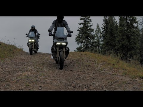 Видео: "Путь Ермака" на Harley Davidson Pan America 3 серия