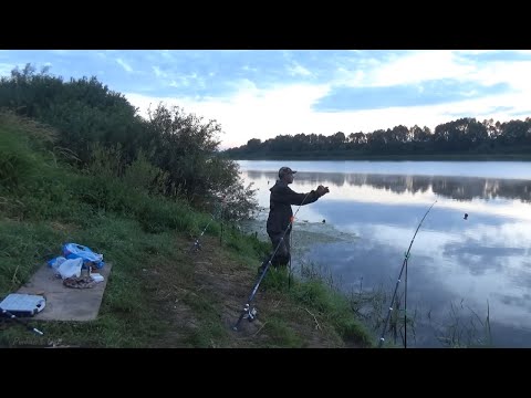 Видео: Сало Вкусняшка на Леща! Рыбалка на Оке в августе! Рыбалка на Донки!