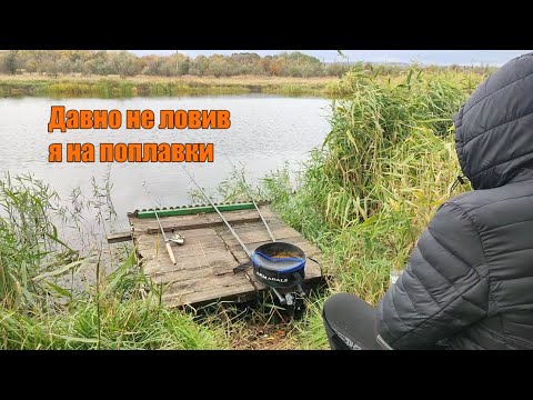 Видео: Річка Саксагань... Давно не ловив я на поплавці 🐟🐟 Fishing Video