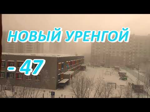 Видео: Прилетела пенсионерка в Новый Уренгой. На дворе -47 градусов.