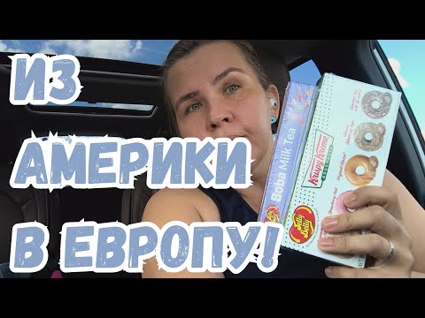 Видео: Забег по магазинам и отвратительная находка в огороде!