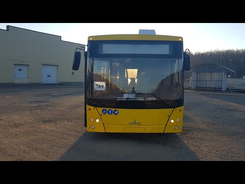 Видео: МАЗ 203.BUS MAZ 203 NEW