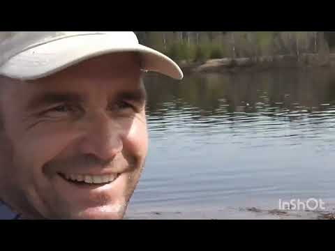 Видео: Мотоблок  за дровами 👍 tillers for firewood😁🇷🇺 16.05.23 г