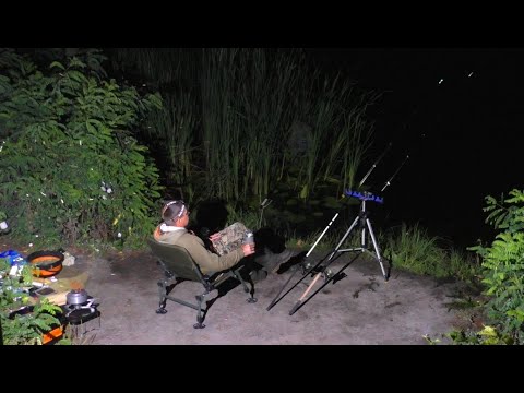 Видео: ОСІННІЙ ЖОР КРУПНЯКА ! Рибалка на фідер!