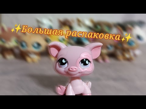 Видео: ✨НОВИНКИ LPS🥰 Много петов! 🍂