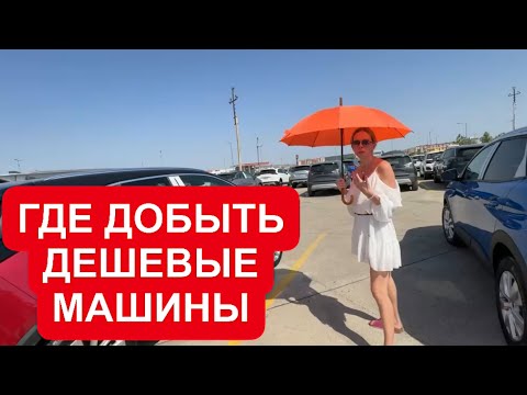 Видео: ДЕШЕВЫЕ МАШИНЫ. НОВЫЙ ЛОГАН ЗА 1.4 млн, РЕНО ДАСТЕР, ТОЙОТА за 2 млн, Прадо за 5 млн