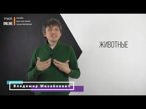 Видео: Животные. 20 урок курса РЖЯ.