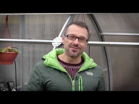 Видео: Теплая теплица с подогревом грунта | Битва теплиц 4-й сезон