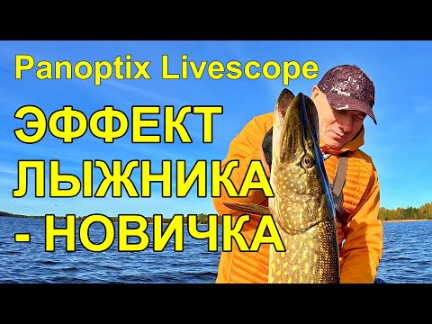 Видео: Как ловить рыбу на Garmin Panoptix Livescope? Эффект начинающего горнолыжника