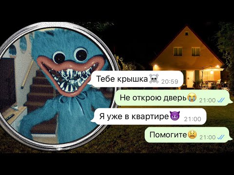 Видео: Хаги Ваги решил идти до конца