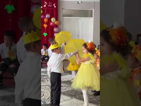 Видео: 6 ноября 2025 г.