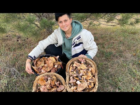 Видео: Закос рыжиков продолжается! Добавляйтесь в телеграм канал 