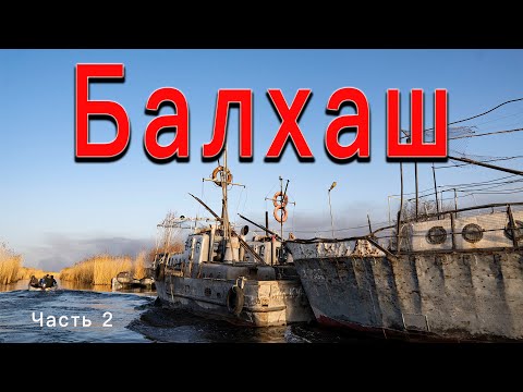 Видео: Ловим жереха и судака.Балхаш! Рыбаловная база Успех