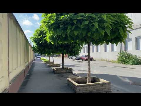 Видео: ЗАПОРОЖЬЕ | Начало проспекта Соборного, ул. Святого Николая, старые дома