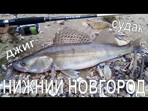 Видео: Рыбалка в Нижнем Новгороде. Джиг. Судак.