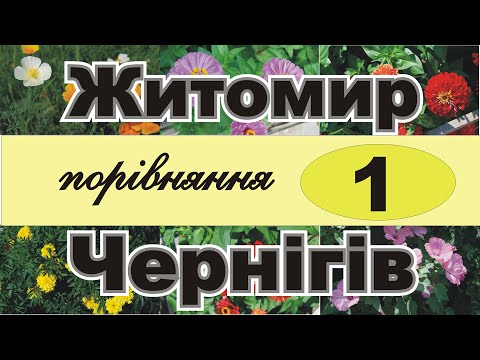 Видео: Житомир   Чернигов  Сравнение бульваров