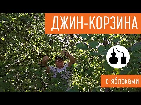 Видео: Ароматизация яблоками с использованием джин-корзины для самогонного аппарата