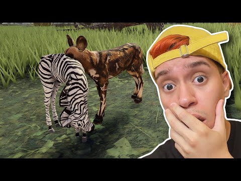 Видео: Выживание в роли плотоядного животного в лесу диких зверей в Roblox!! (Savannah Life)