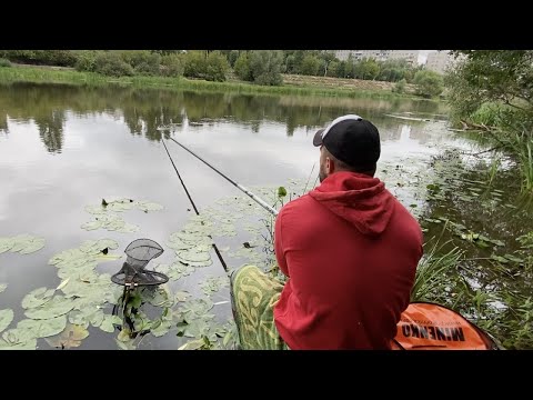 Видео: РЫБАЛКА НА ПОПЛАВОК.ЛОВЛЯ НА РЕКЕ.