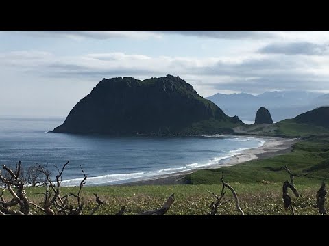 Видео: Мыс Исоя. В гостях у медведей. Отпуск на острове Итуруп  2021год. 1 часть.