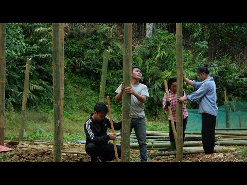 Видео: Отложив все дела: Пао помогает Мэй построить новый дом — Тёплый дом с бабушкой