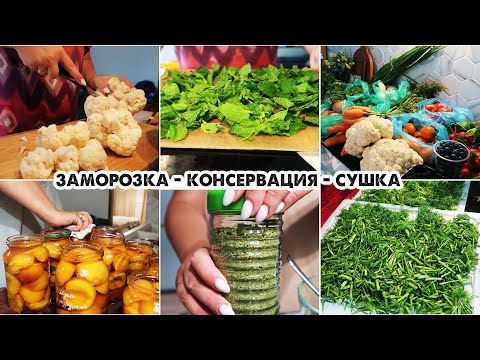 Видео: Закупка овощей и фруктов с рынка/Заморозка и сушка зелени на зиму/Домашняя универсальная приправа