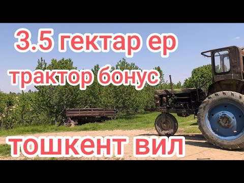 Видео: Жудда арзон ер сотилади☎️☎️+998998608326