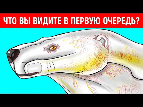 Видео: Если вы это заметите, у вас орлиное зрение, которым обладает менее 1 % людей