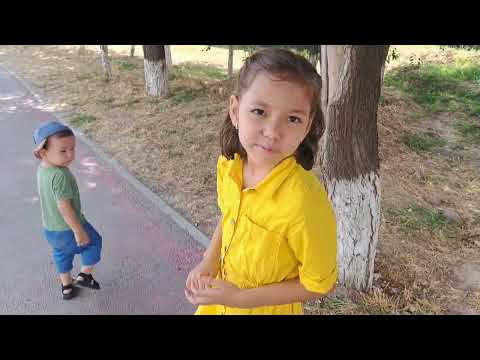 Видео: курс барысы  🥴
